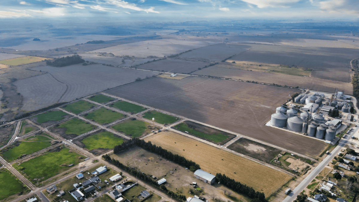 DJI_0610
