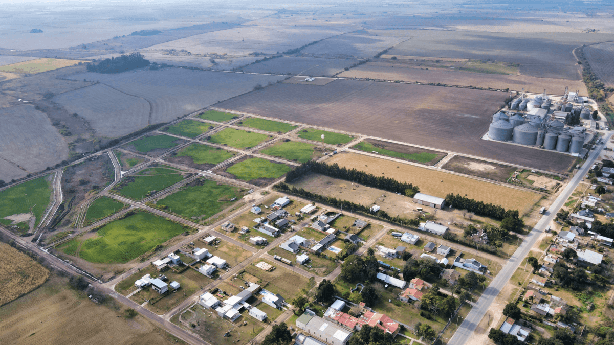 DJI_0613