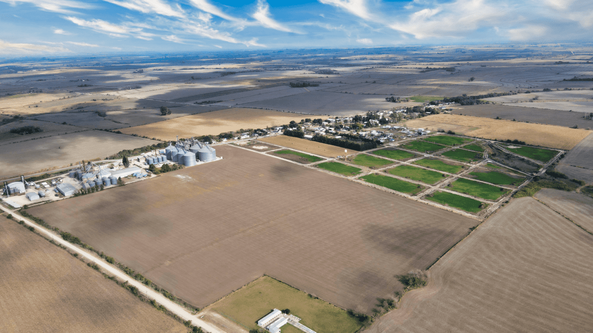 DJI_0636