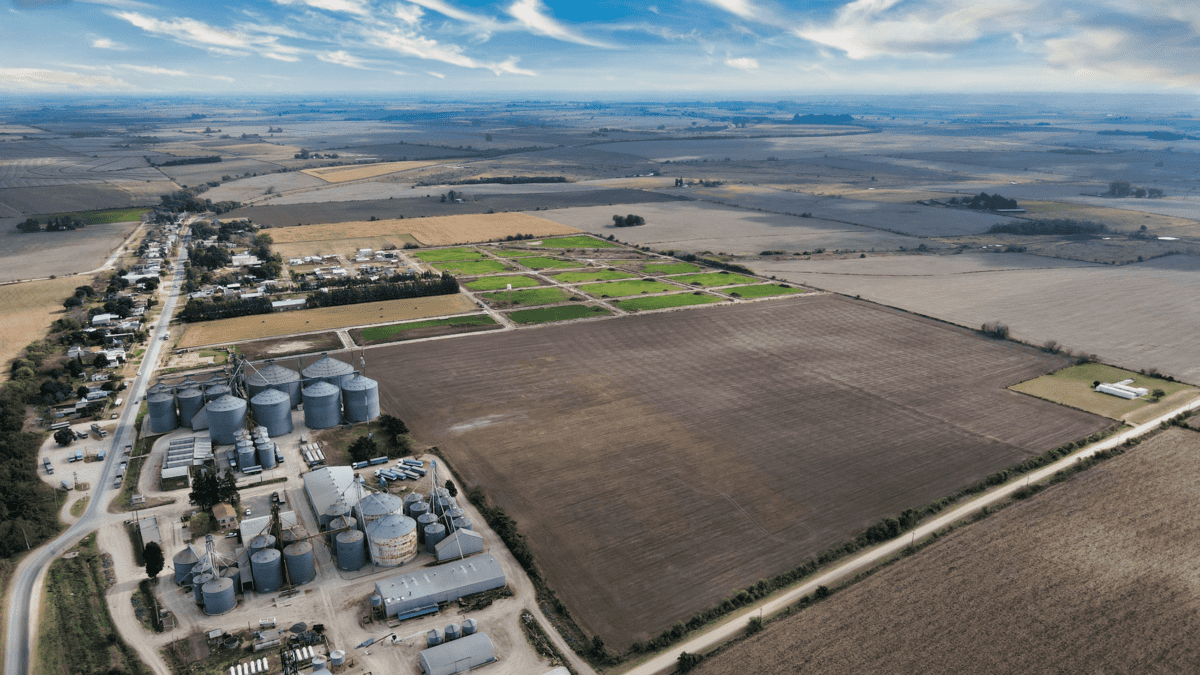 DJI_0640
