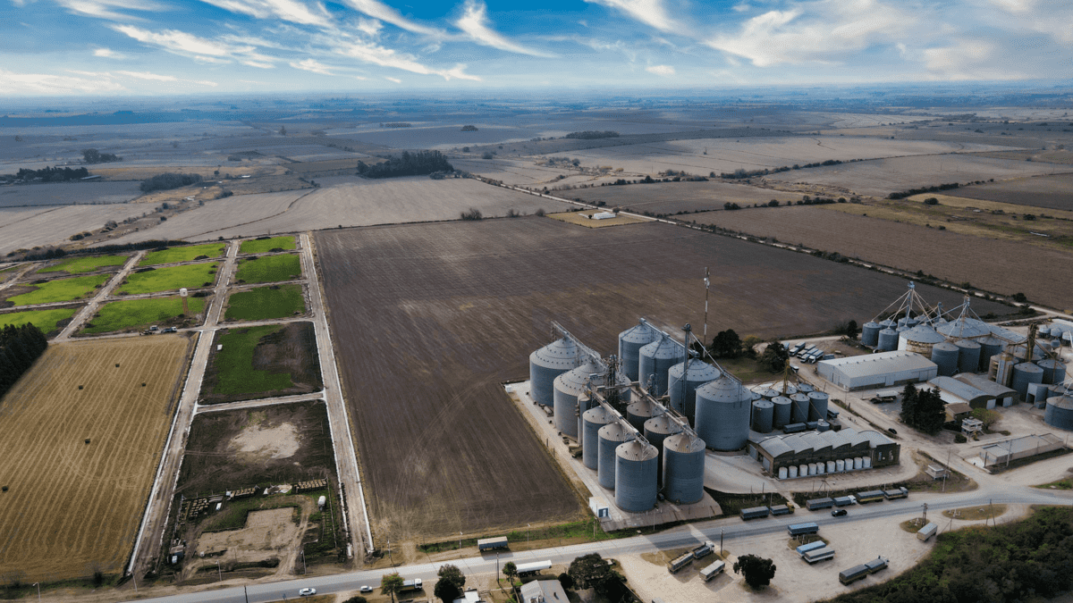 DJI_0643