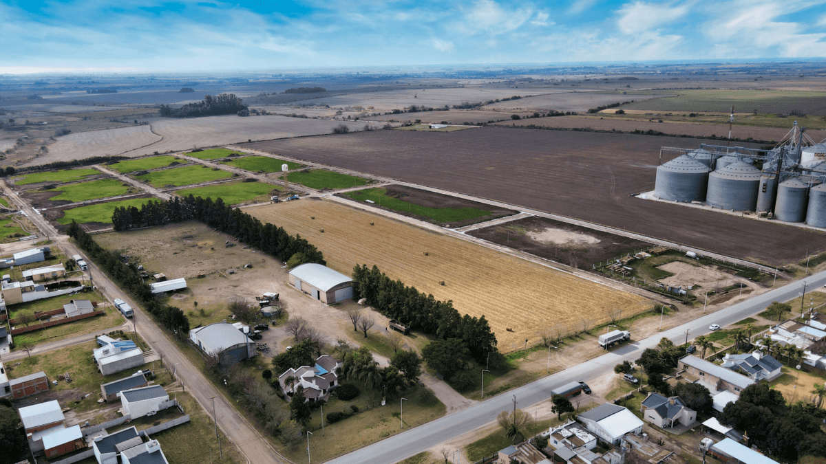 DJI_0647