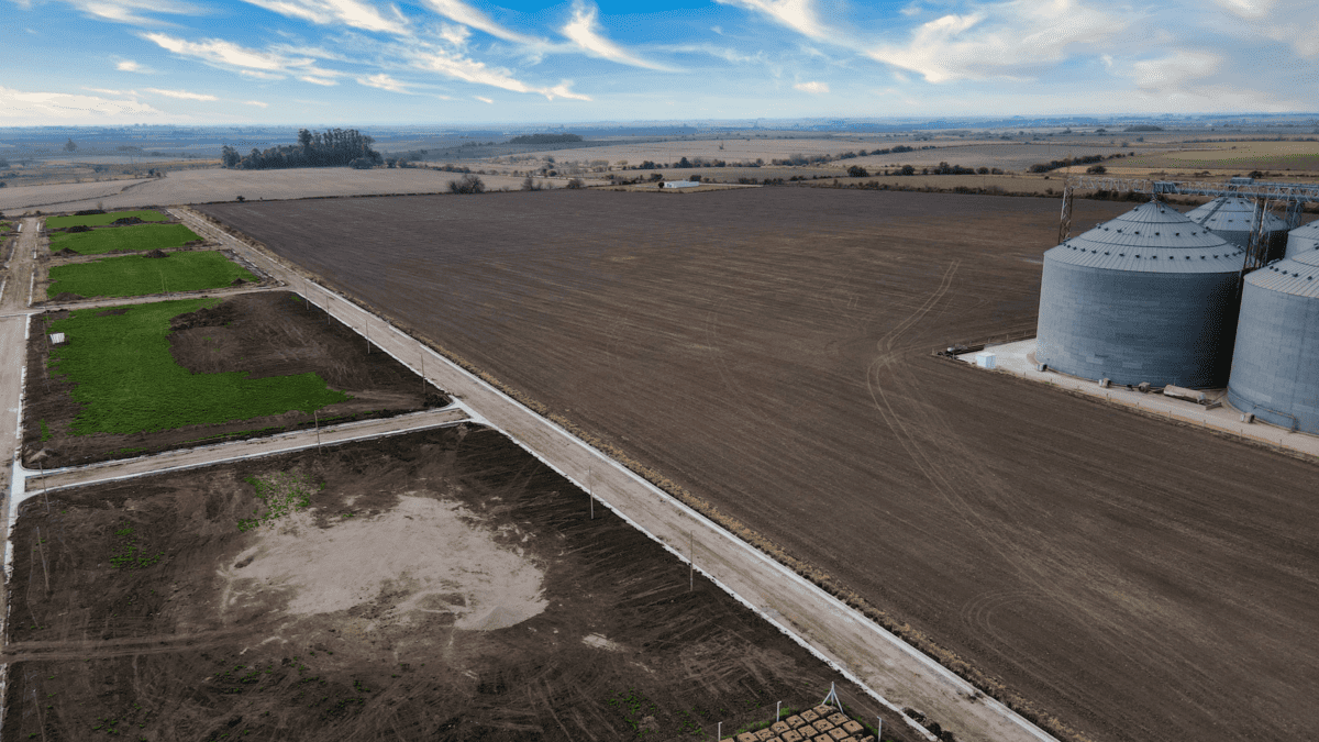 DJI_0651